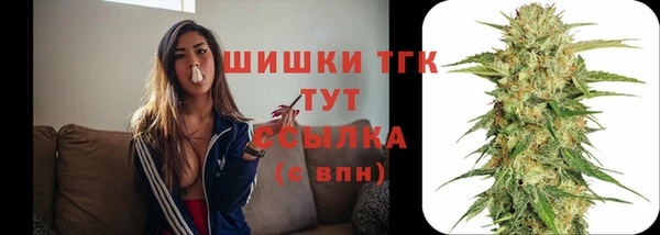 шишки Баксан